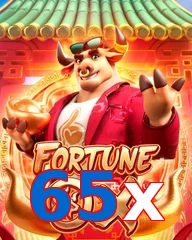 65x